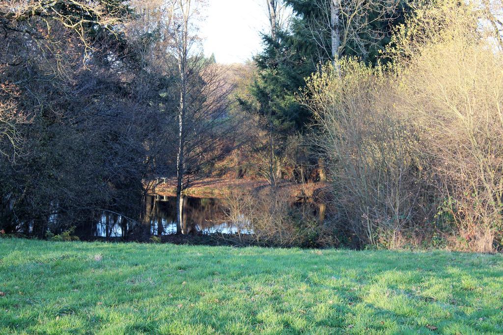 La Petite Jeusseliniere Villa Larchamp Dış mekan fotoğraf
